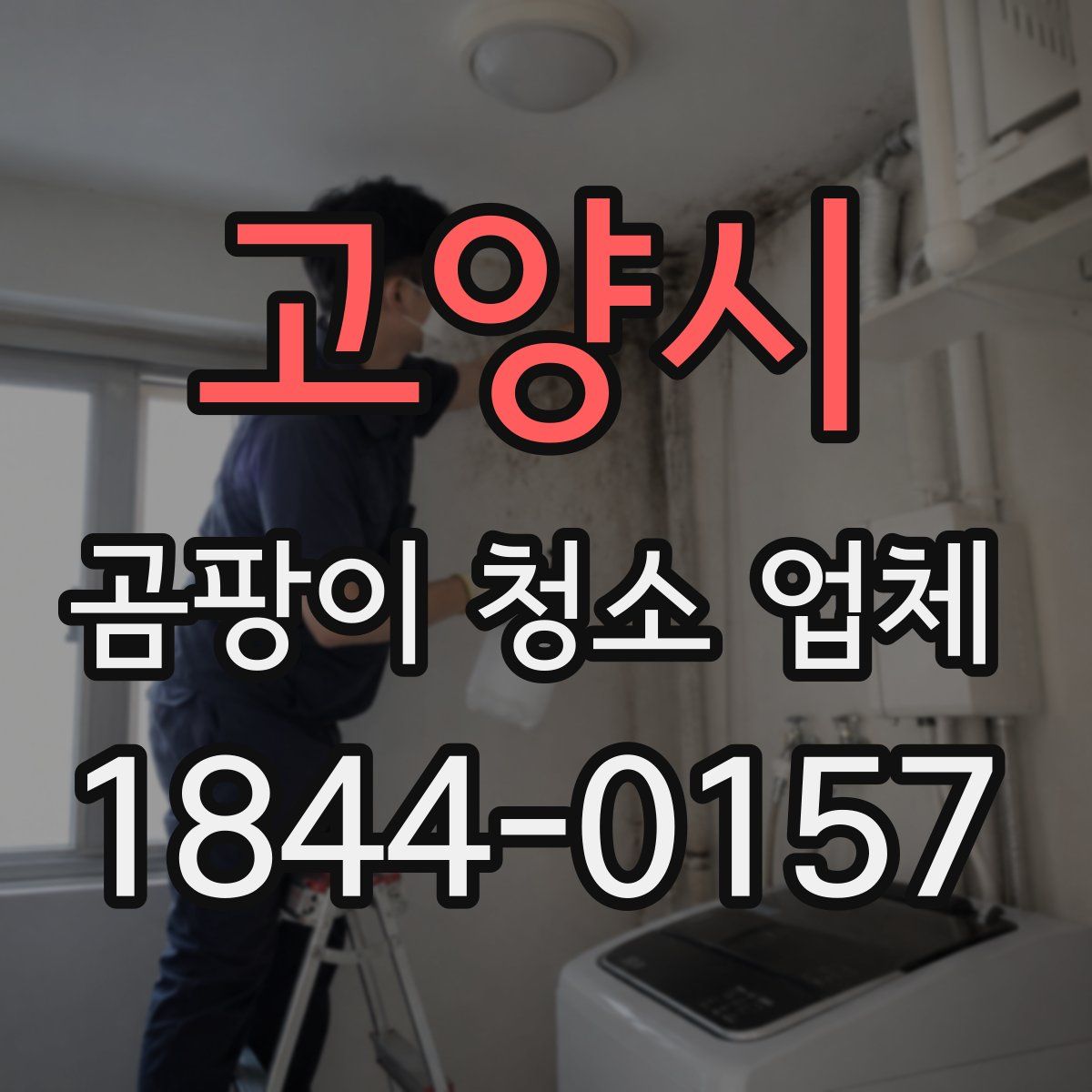 고양시 곰팡이 청소 업체