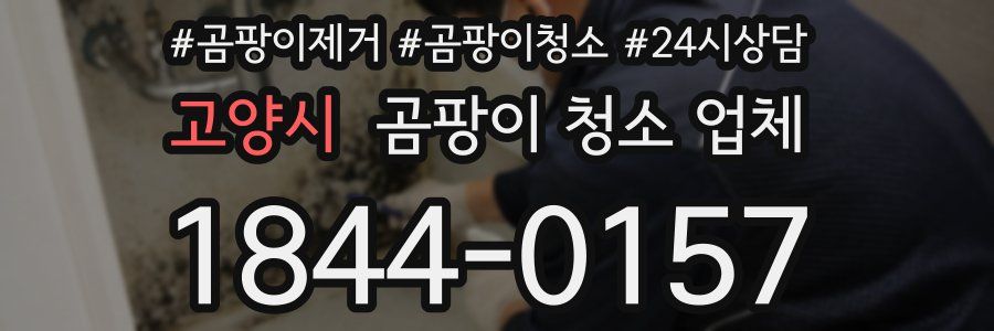 고양시 곰팡이 청소 업체