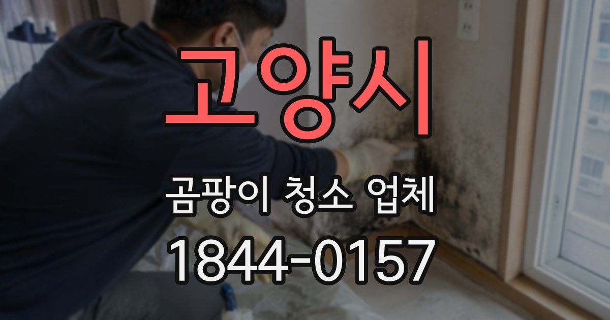 고양시 곰팡이 청소 업체