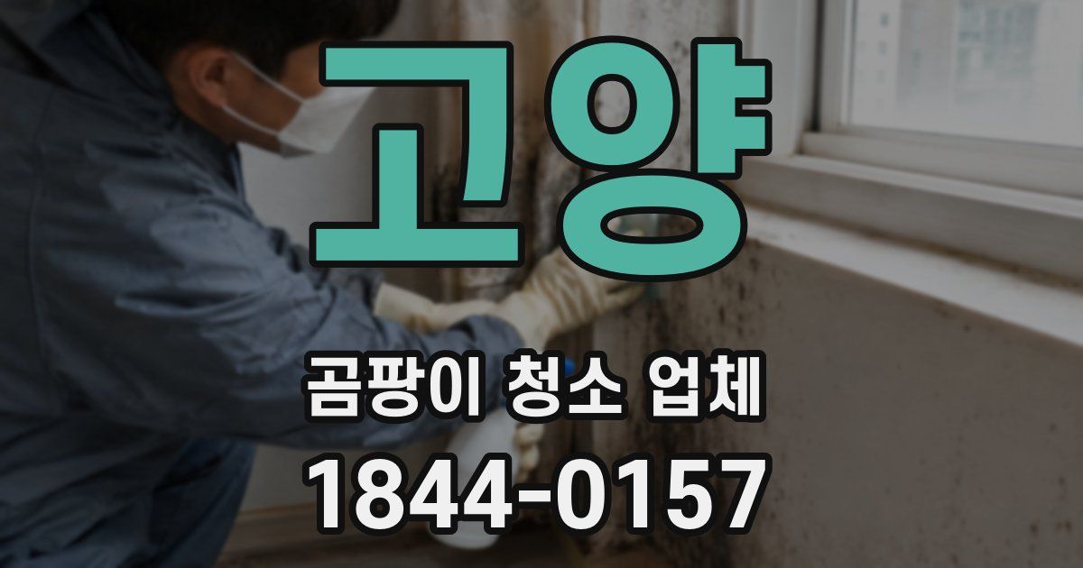 고양 곰팡이 청소 업체