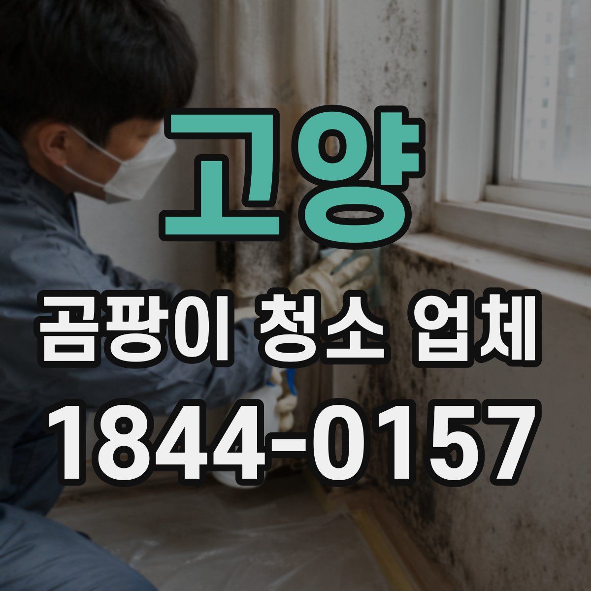 고양 곰팡이 청소 업체