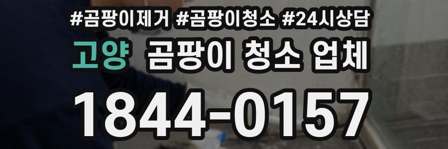 고양 곰팡이 청소 업체