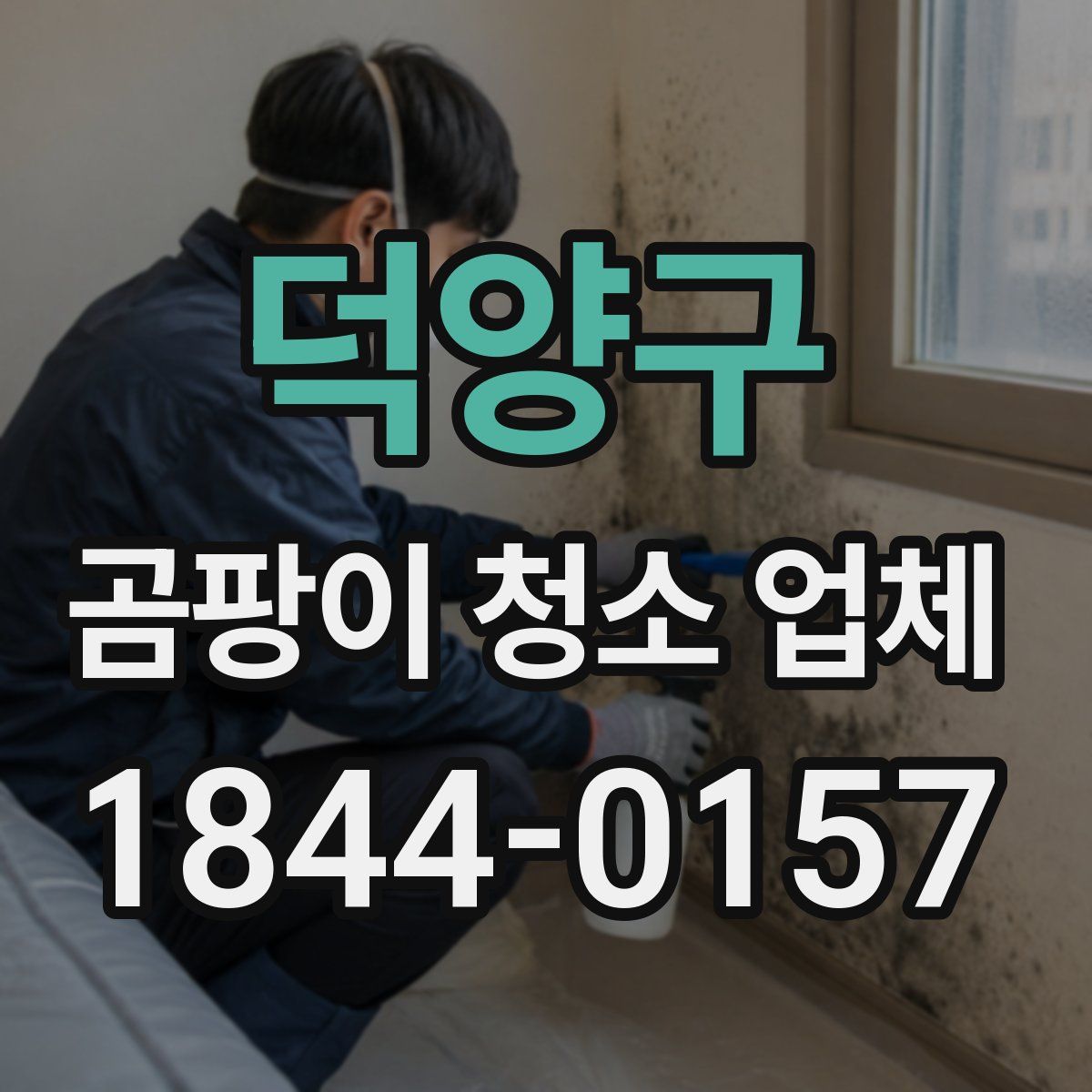 덕양구 곰팡이 청소 업체
