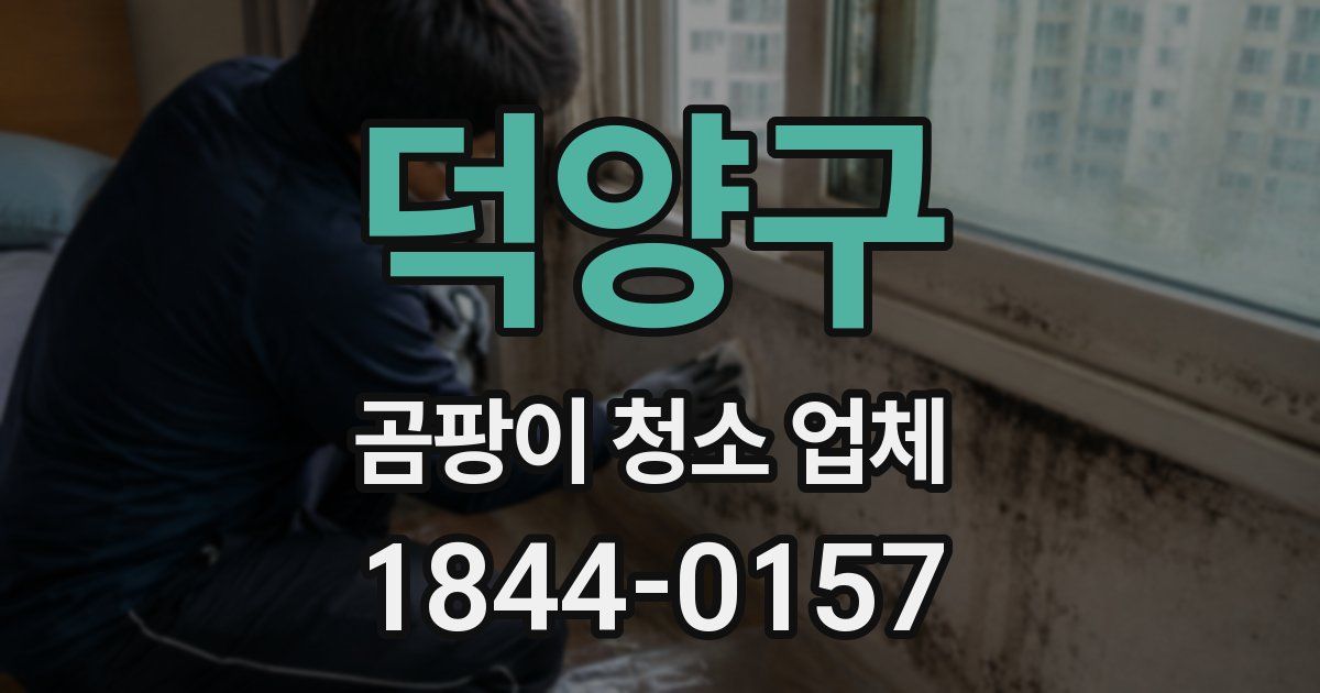 덕양구 곰팡이 청소 업체
