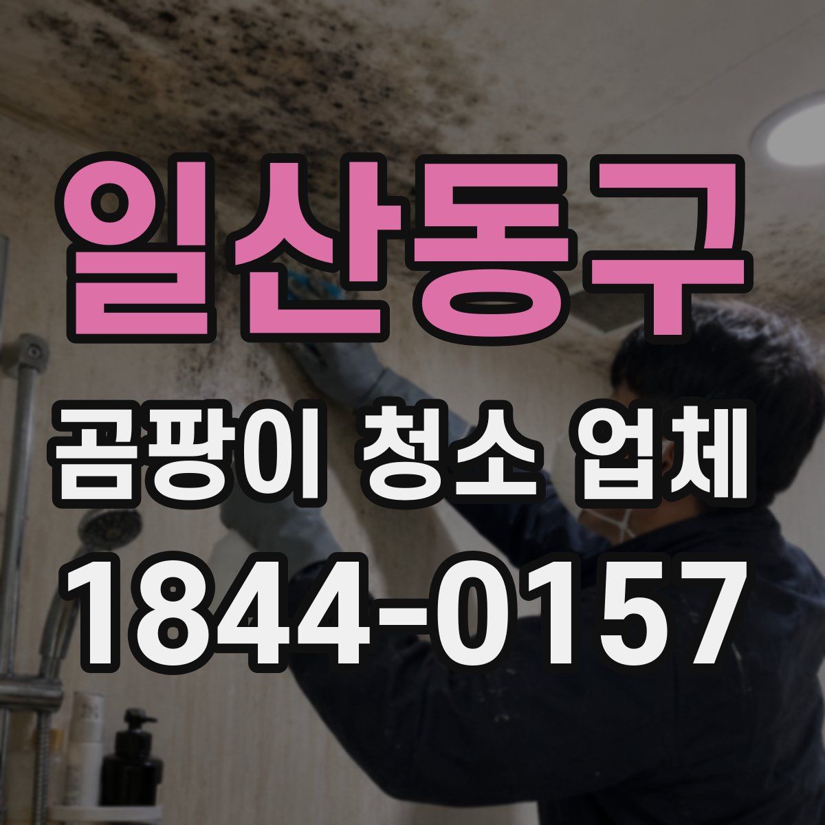 일산동구 곰팡이 청소 업체