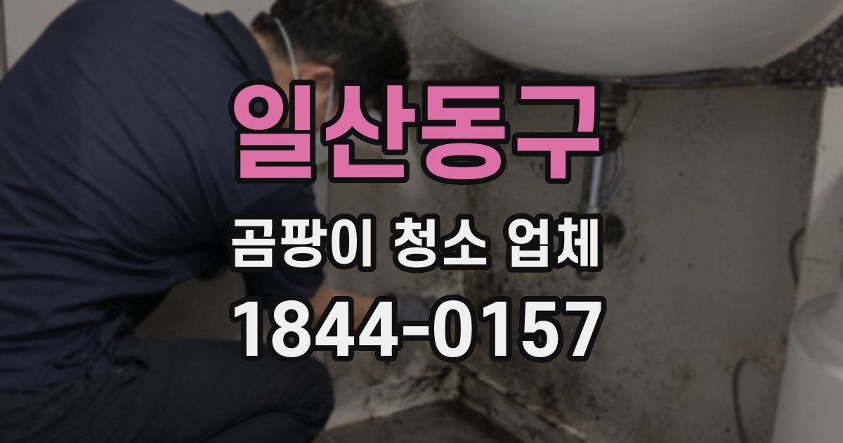 일산동구 곰팡이 청소 업체