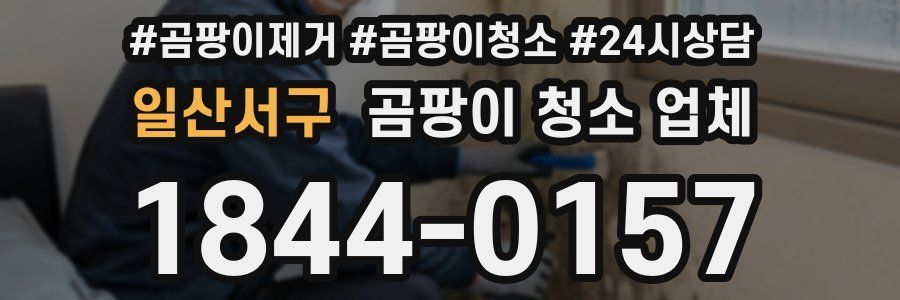 일산서구 곰팡이 청소 업체