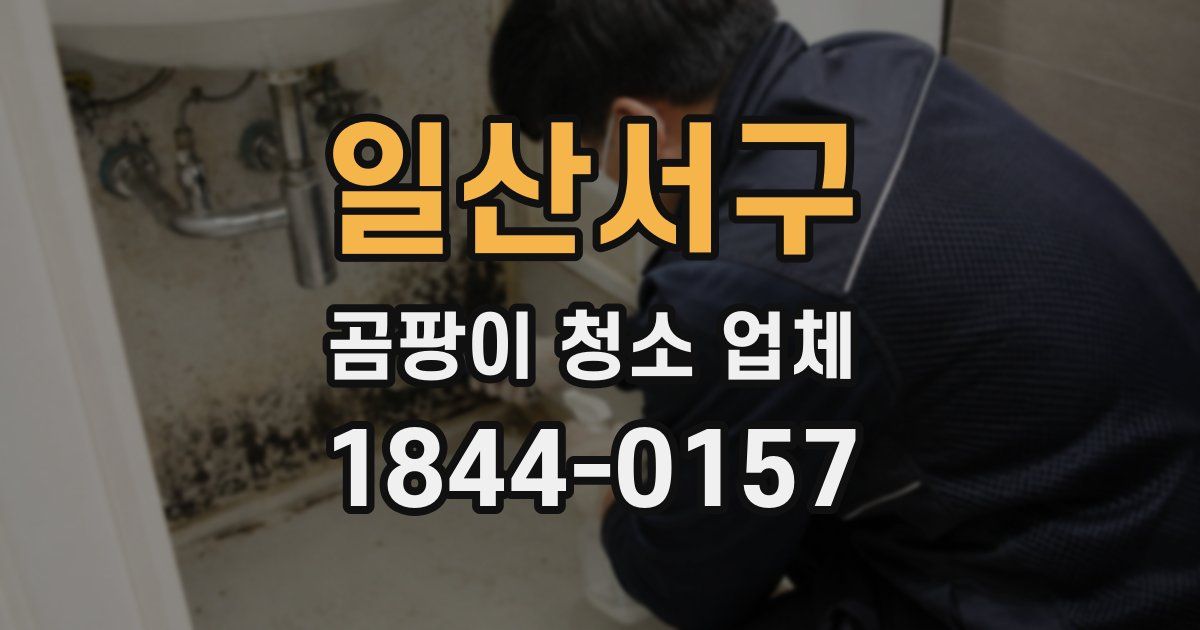 일산서구 곰팡이 청소 업체