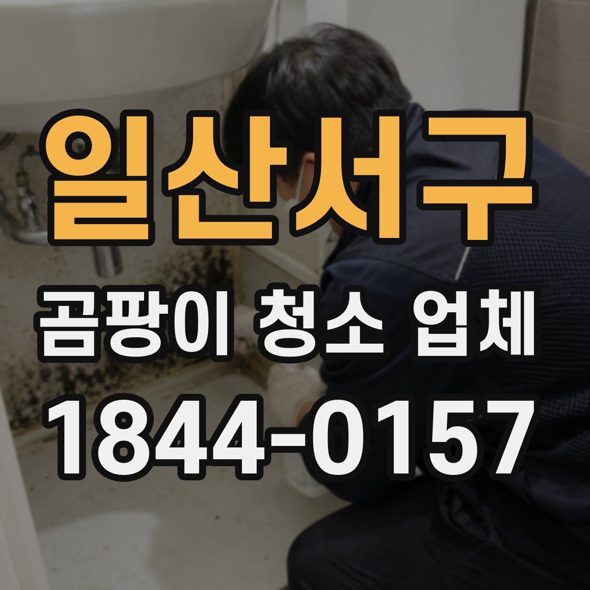 일산서구 곰팡이 청소 업체