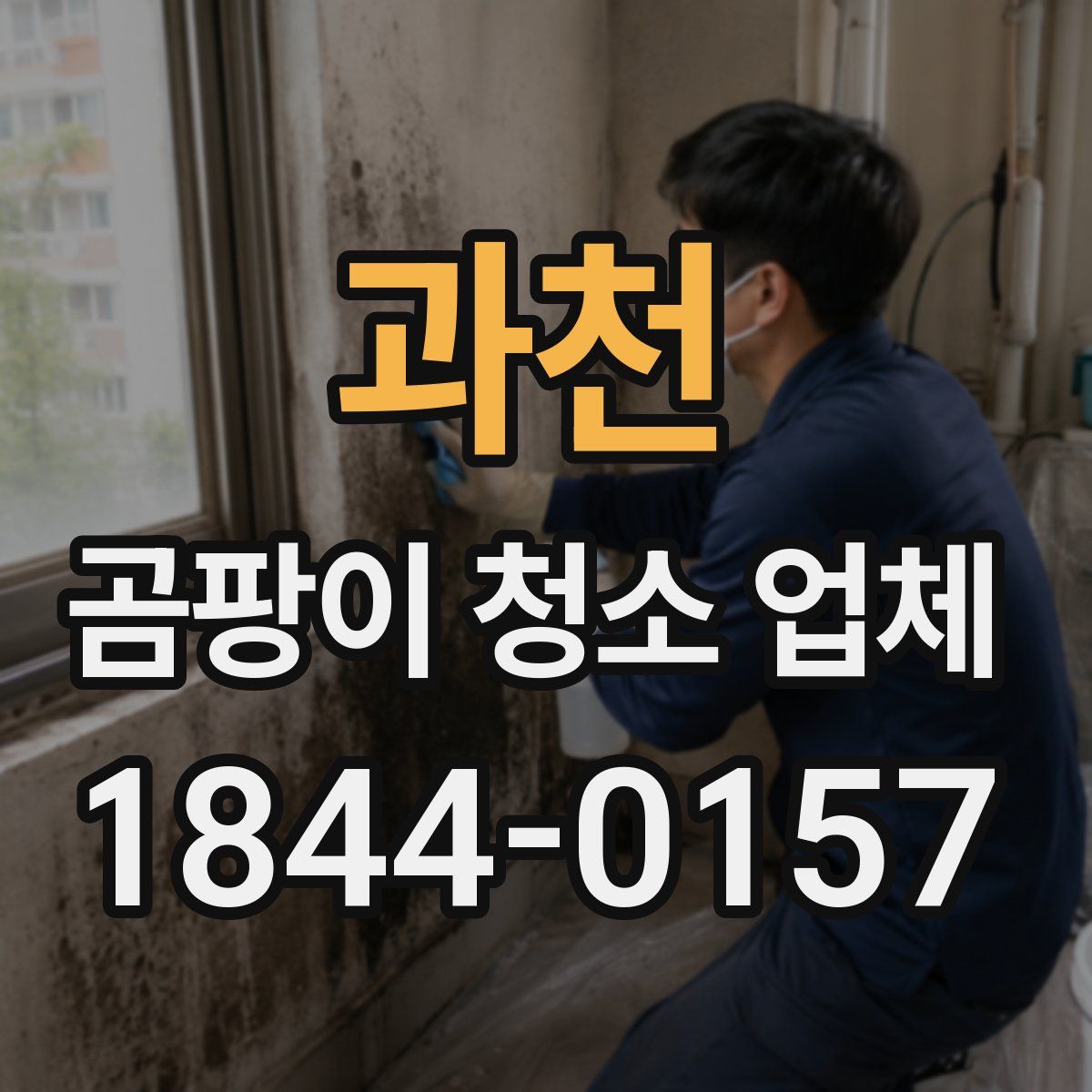 과천 곰팡이 청소 업체