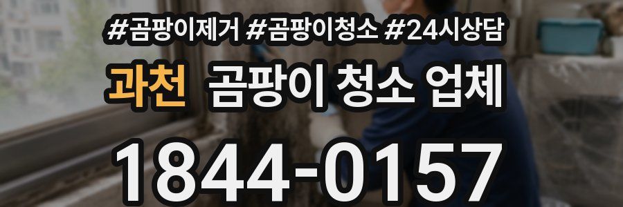 과천 곰팡이 청소 업체