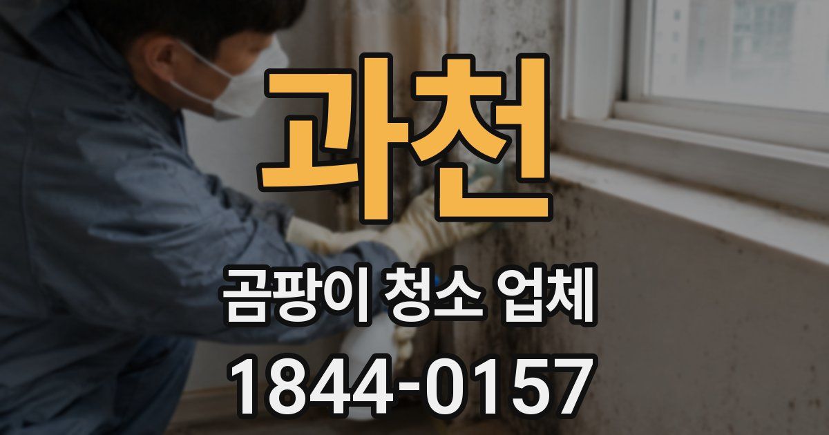 과천 곰팡이 청소 업체