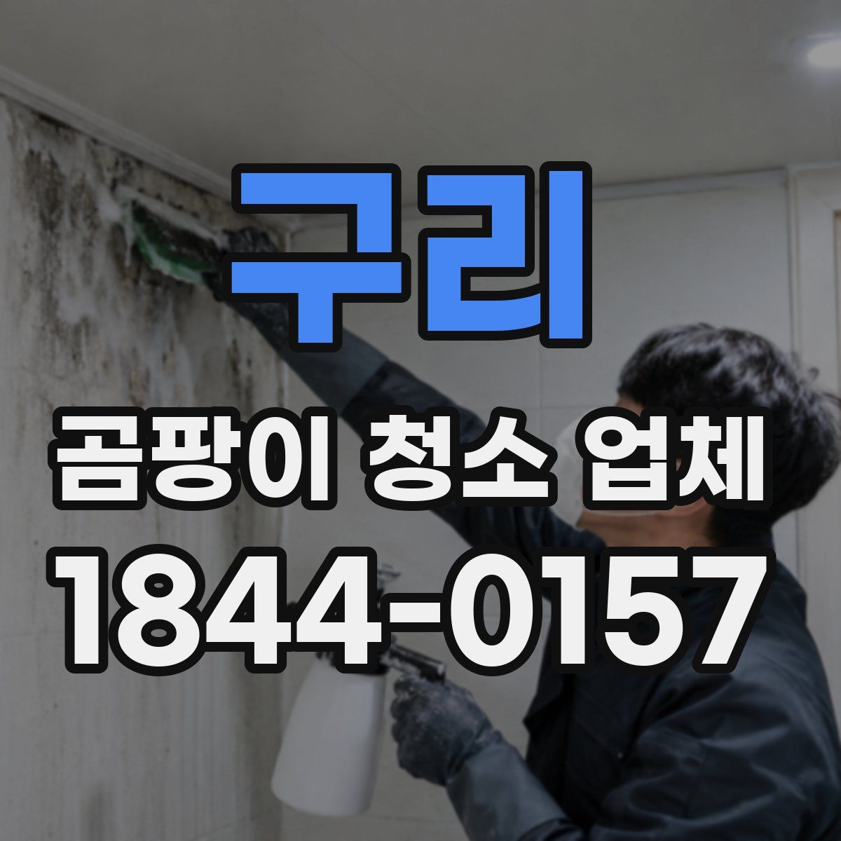 구리 곰팡이 청소 업체