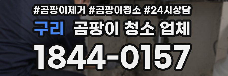 구리 곰팡이 청소 업체