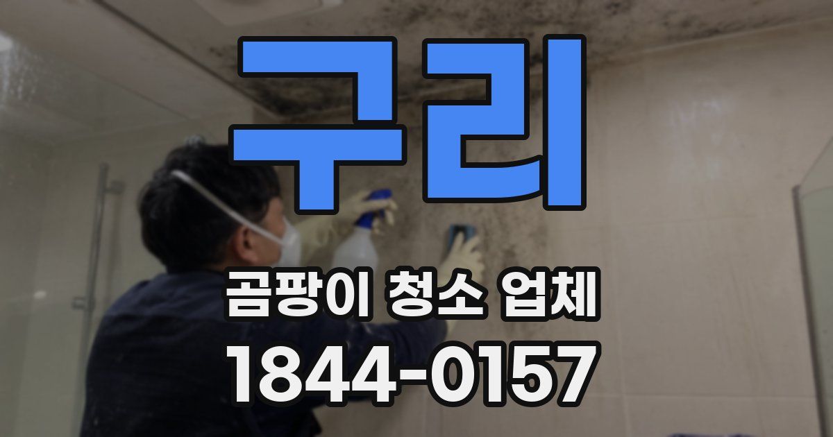 구리 곰팡이 청소 업체