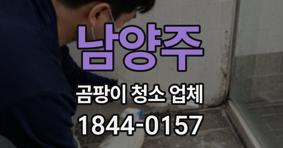 남양주 곰팡이 청소 업체