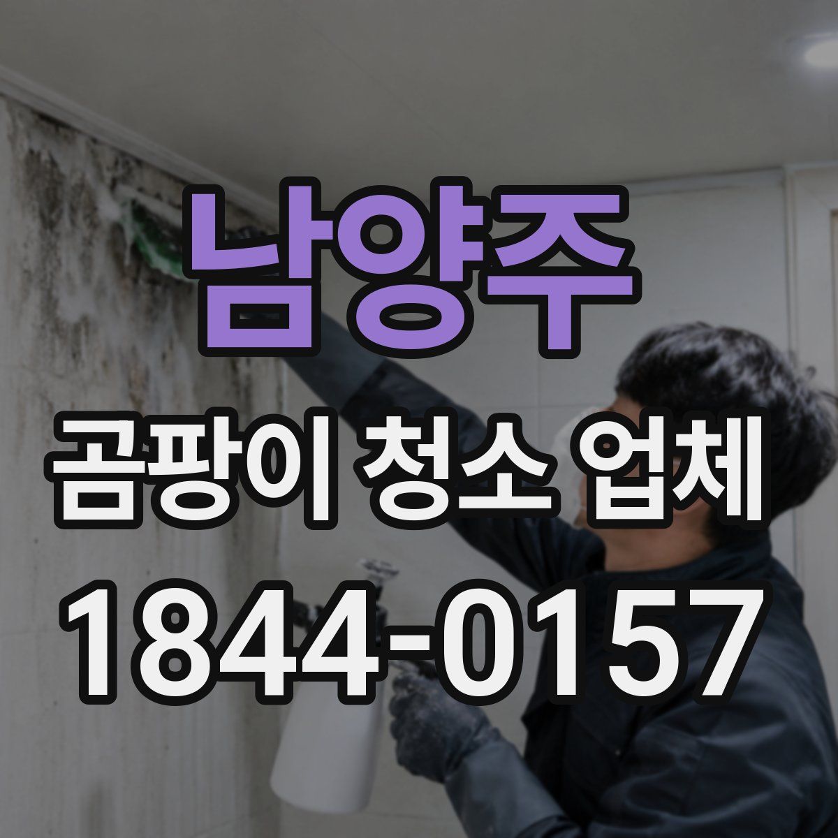 남양주 곰팡이 청소 업체