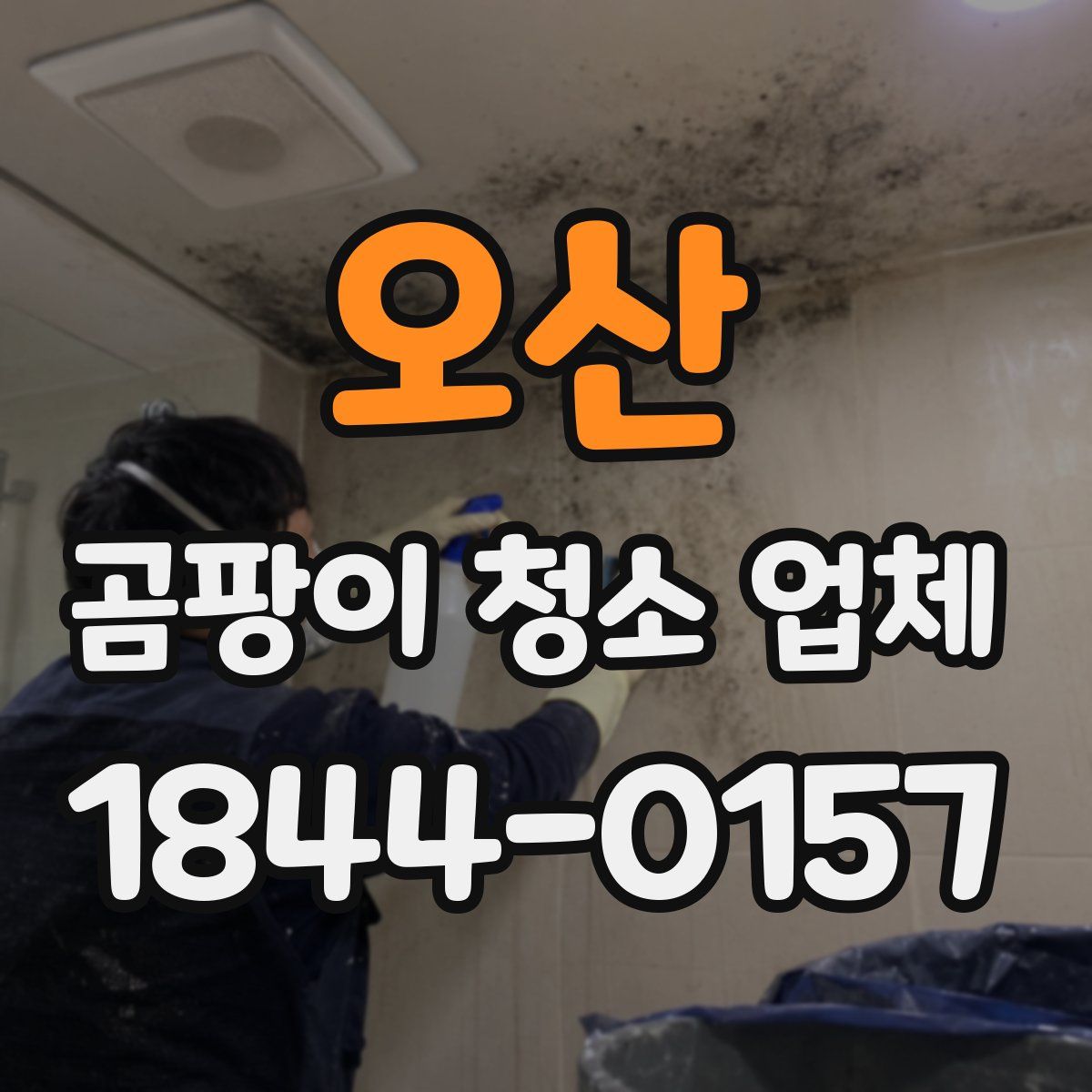 오산 곰팡이 청소 업체