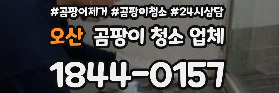 오산 곰팡이 청소 업체