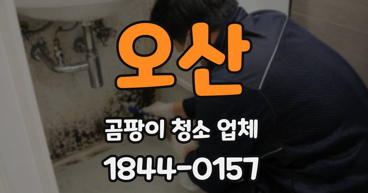 오산 곰팡이 청소 업체