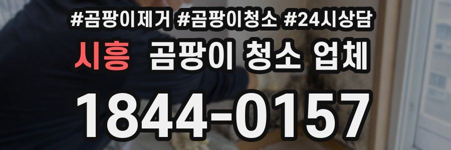 시흥 곰팡이 청소 업체