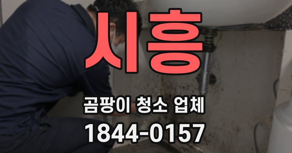 시흥 곰팡이 청소 업체
