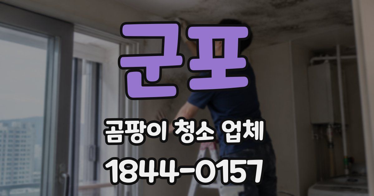 군포 곰팡이 청소 업체
