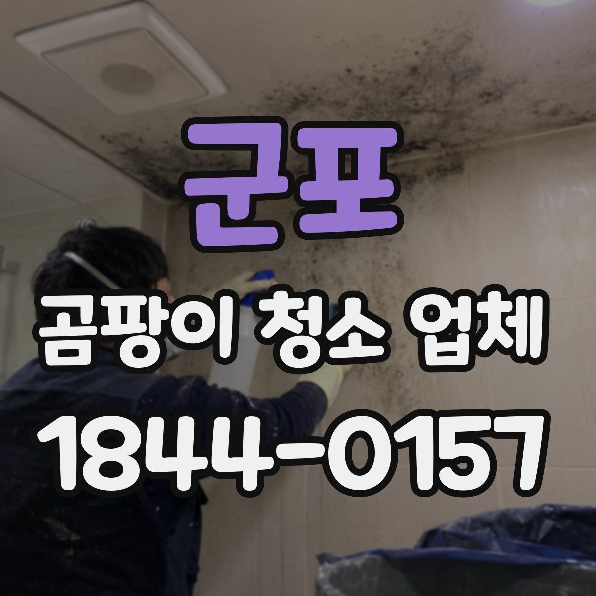 군포 곰팡이 청소 업체