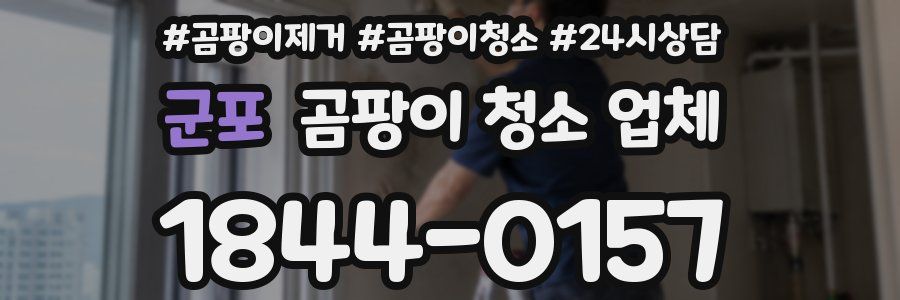 군포 곰팡이 청소 업체
