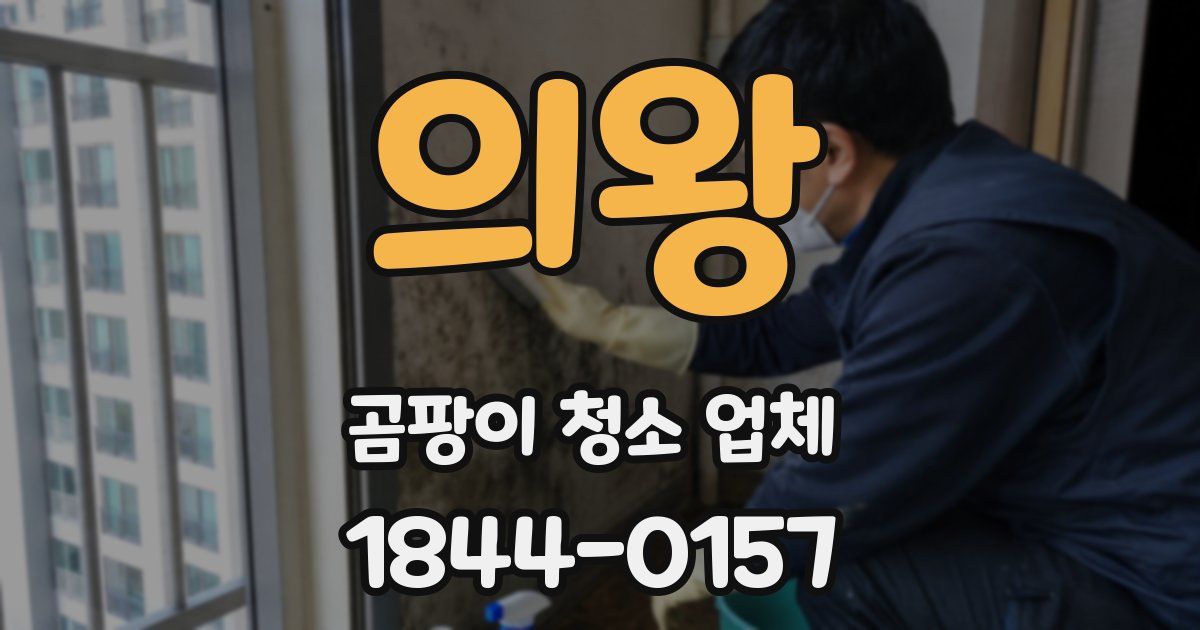 의왕 곰팡이 청소 업체