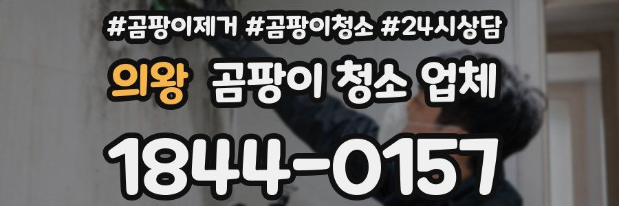 의왕 곰팡이 청소 업체