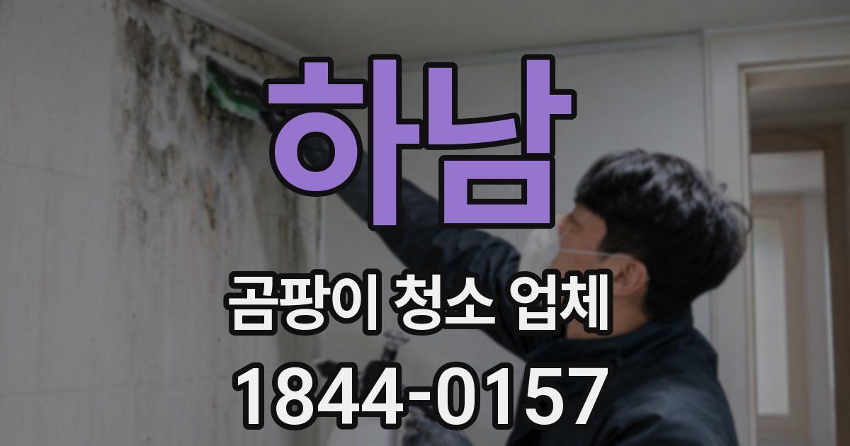 하남 곰팡이 청소 업체
