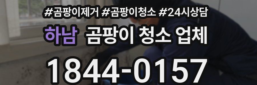 하남 곰팡이 청소 업체