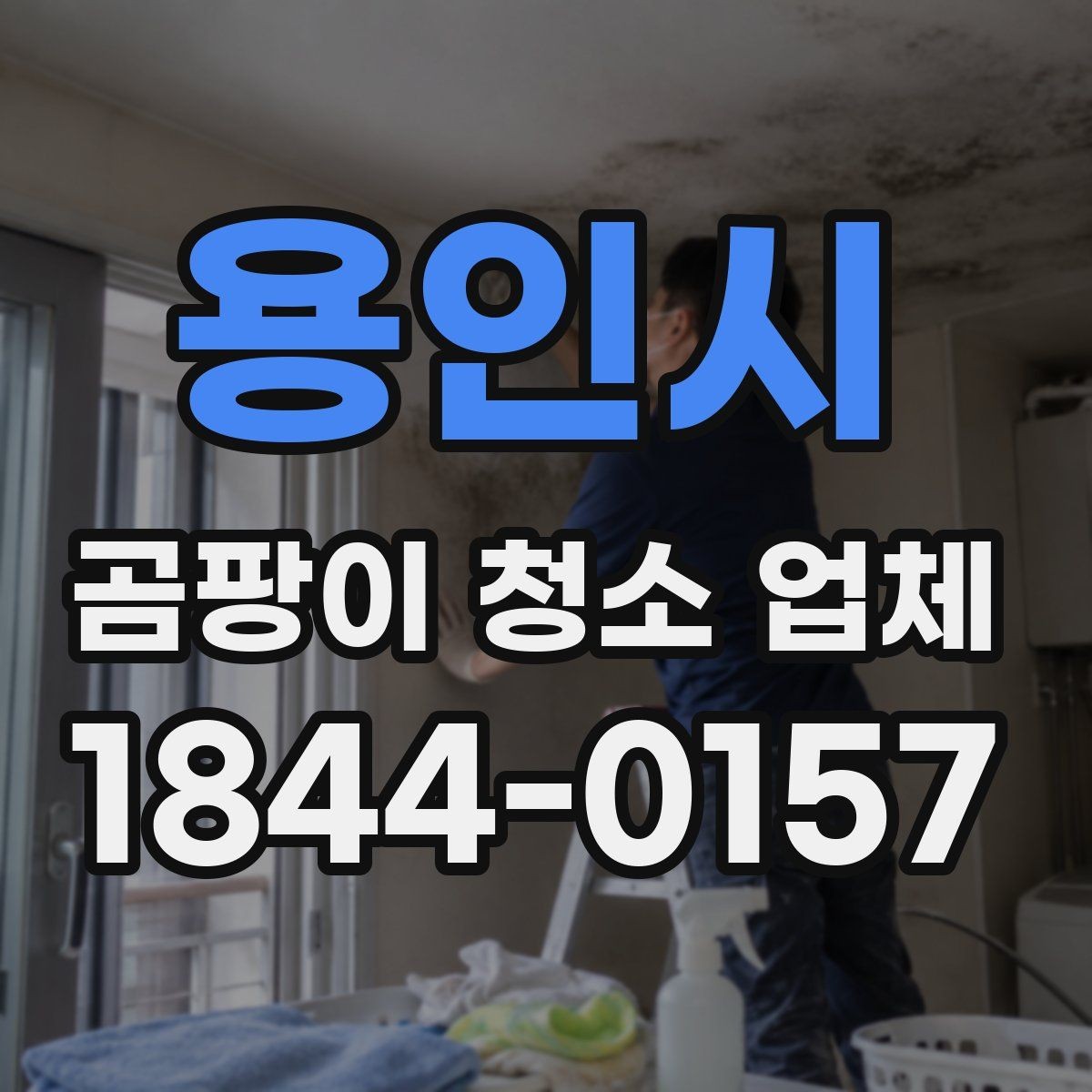 용인시 곰팡이 청소 업체 아이 방과 반려동물 공간 점검 포인트