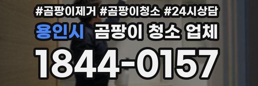 용인시 곰팡이 청소 업체