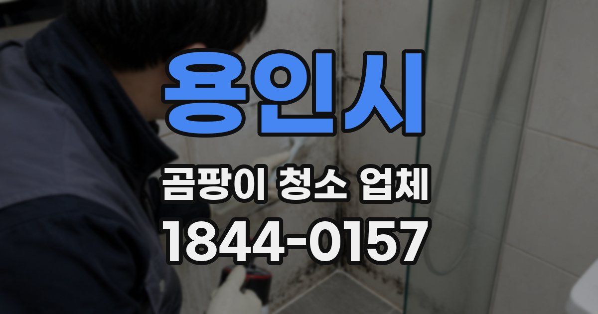 용인시 곰팡이 청소 업체