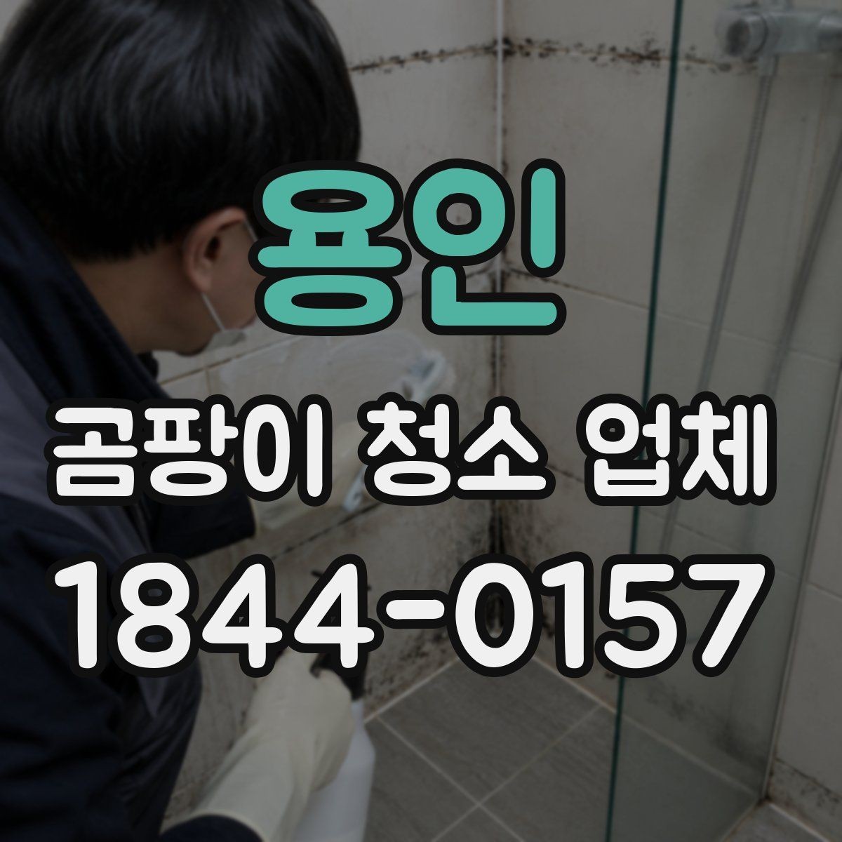 용인 곰팡이 청소 업체 민감한 실내에서 주의할 작업 절차