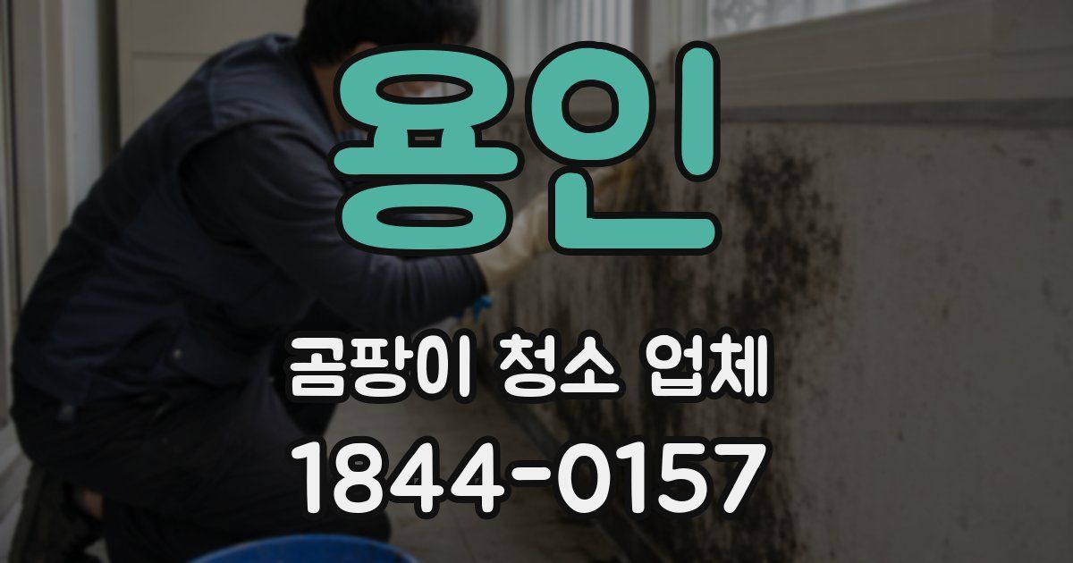 용인 곰팡이 청소 업체