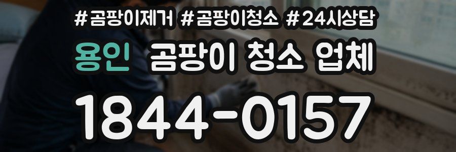 용인 곰팡이 청소 업체