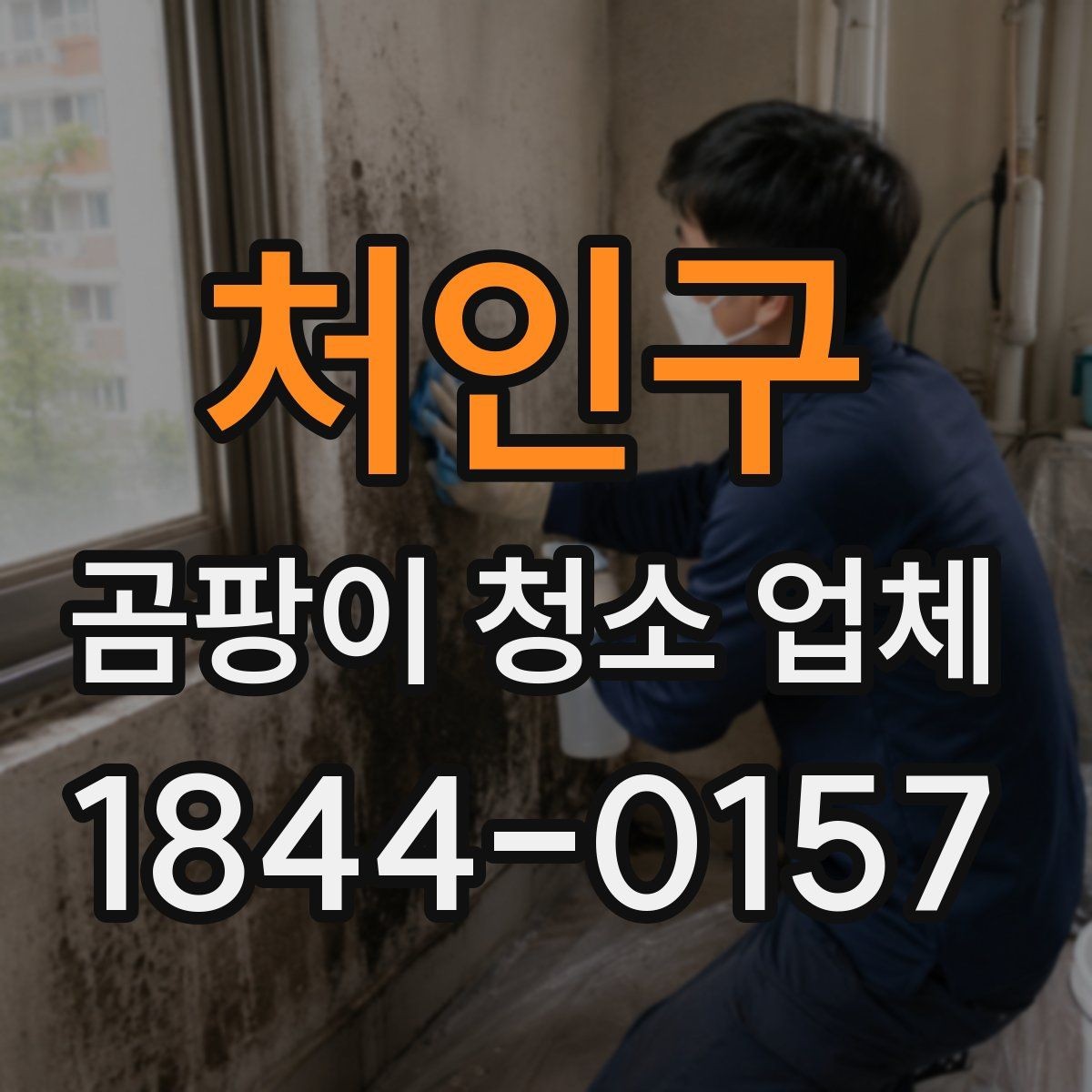 처인구 곰팡이 청소 업체 세입자와 집주인 분쟁을 줄이는 점검 항목