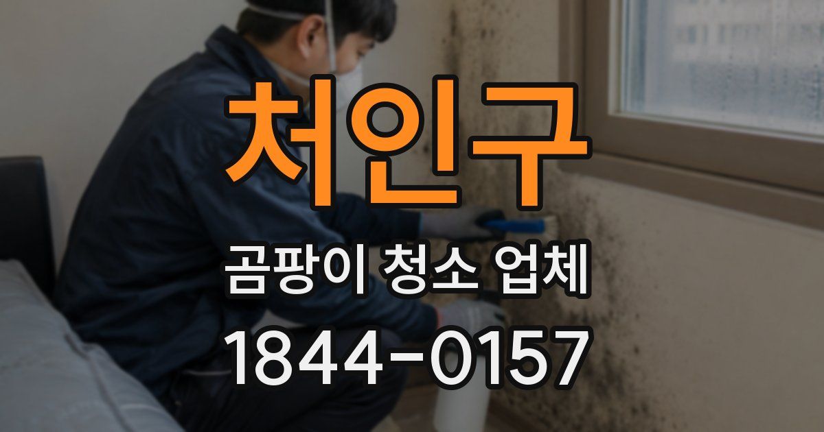 처인구 곰팡이 청소 업체