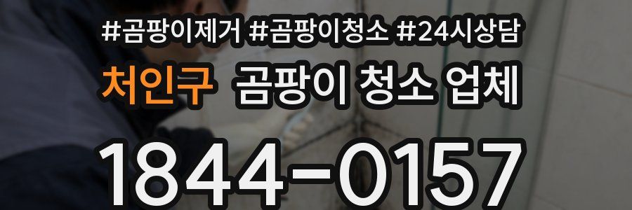처인구 곰팡이 청소 업체