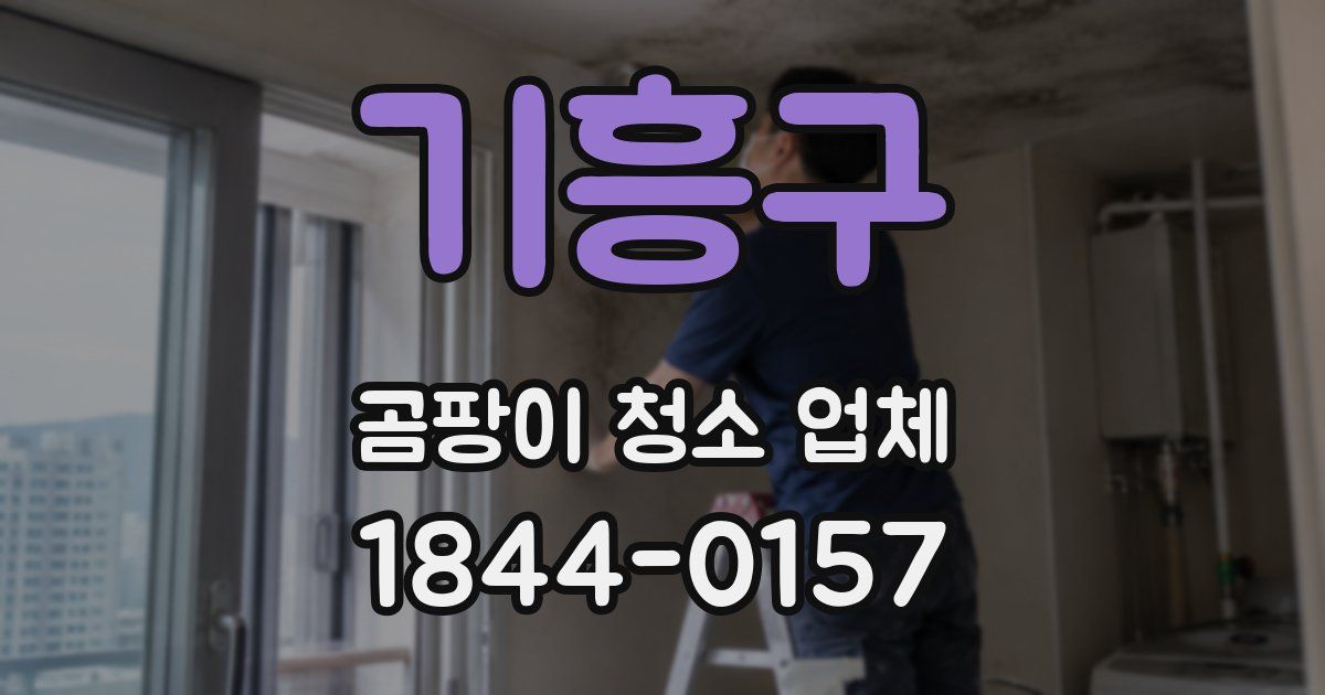 기흥구 곰팡이 청소 업체