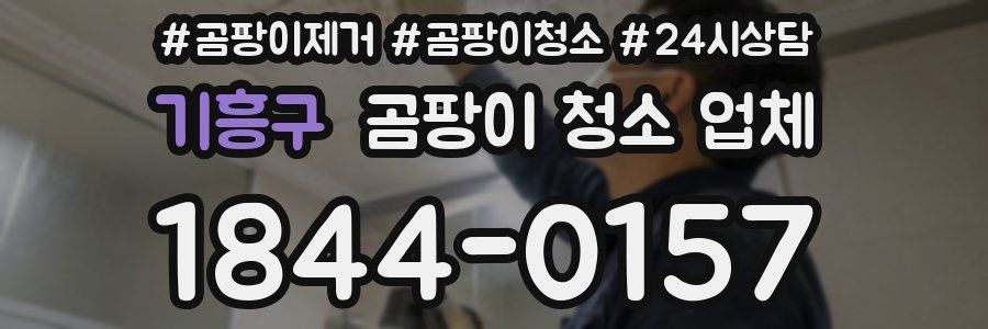 기흥구 곰팡이 청소 업체