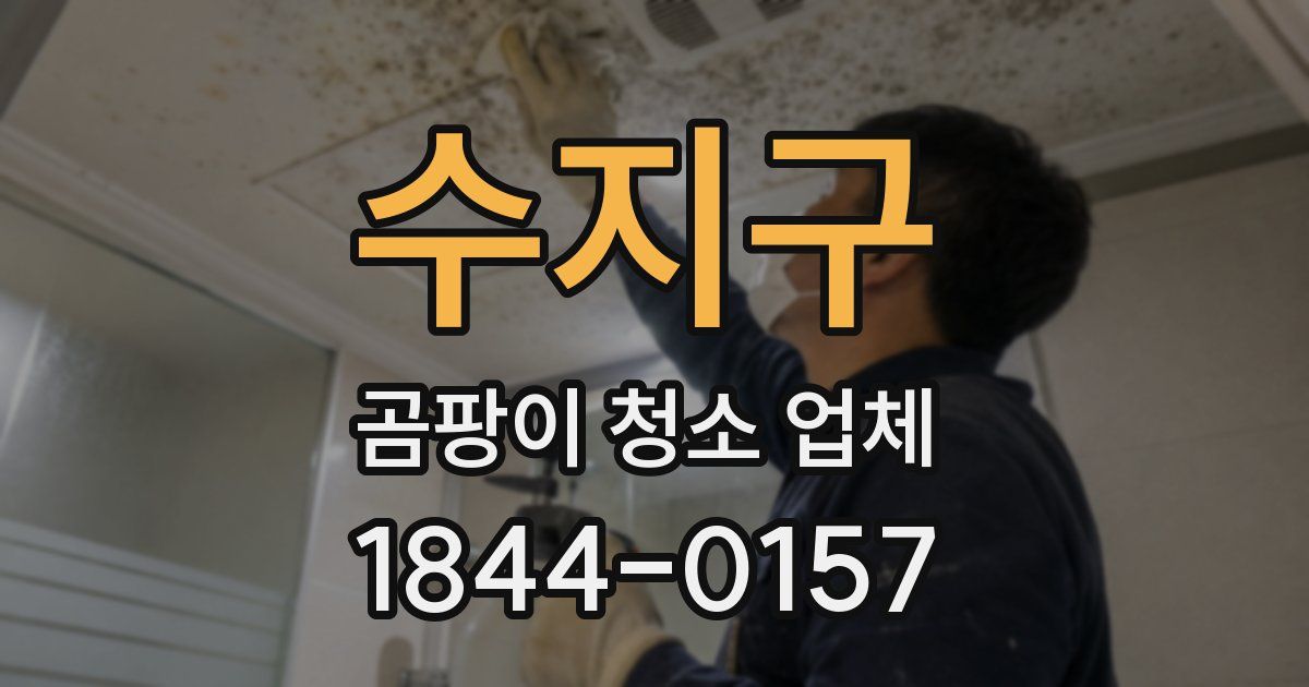 수지구 곰팡이 청소 업체