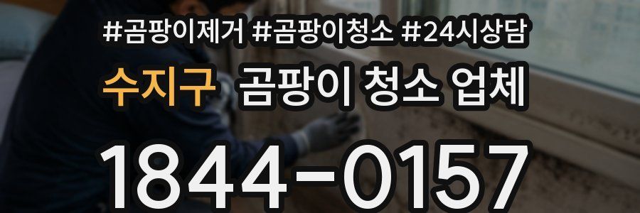 수지구 곰팡이 청소 업체