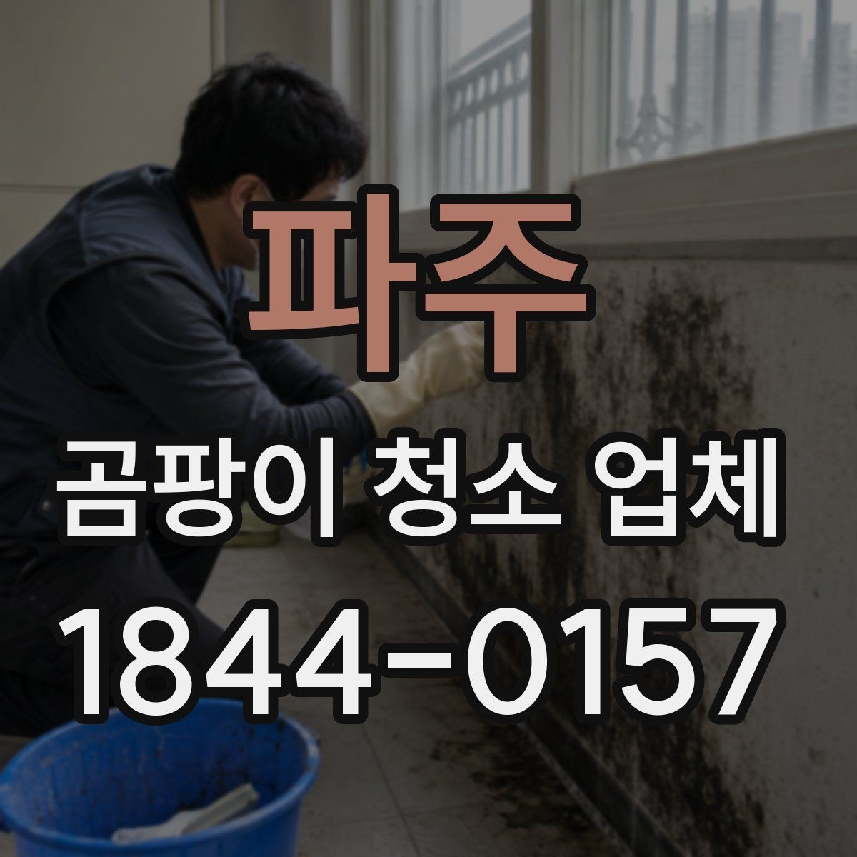 파주 곰팡이 청소 업체 가구 오염이 심할 때 처리 순서