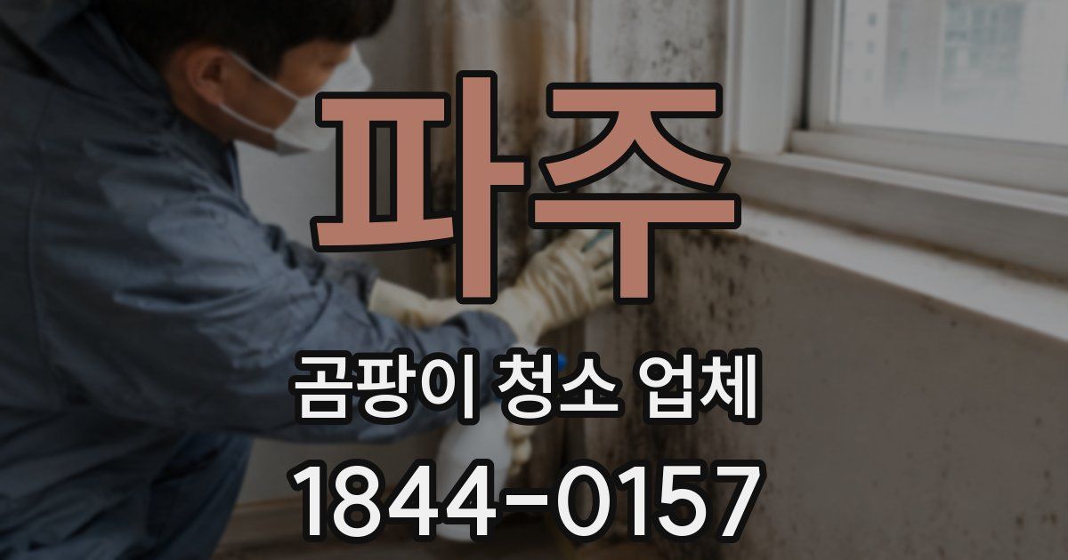 파주 곰팡이 청소 업체