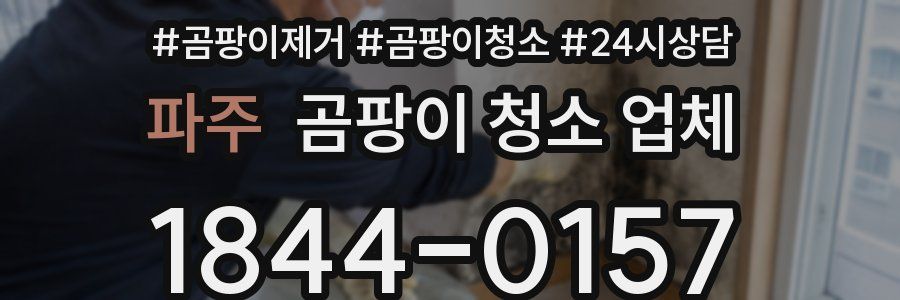 파주 곰팡이 청소 업체