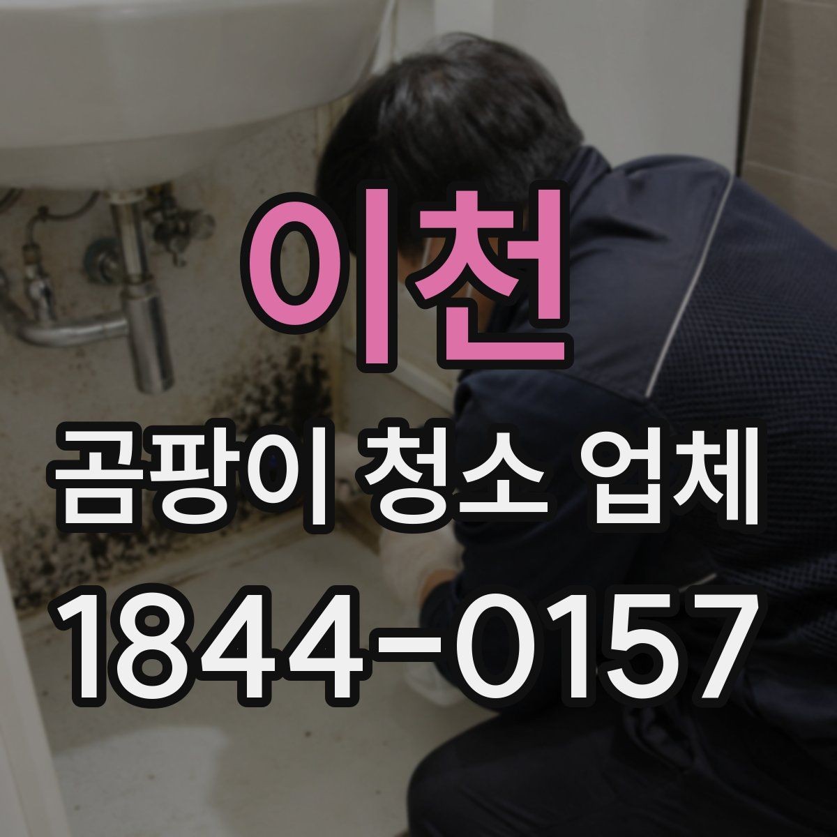이천 곰팡이 청소 업체 공간별로 달라지는 맞춤 청소 방식